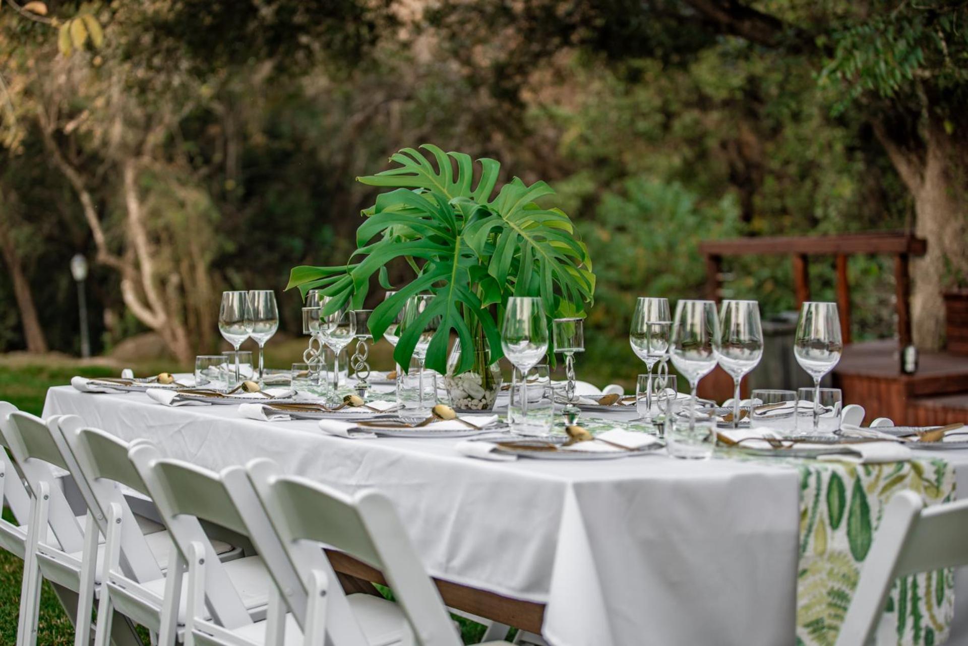 Bushbaby Valley Lodge Hazyview Ngoại thất bức ảnh